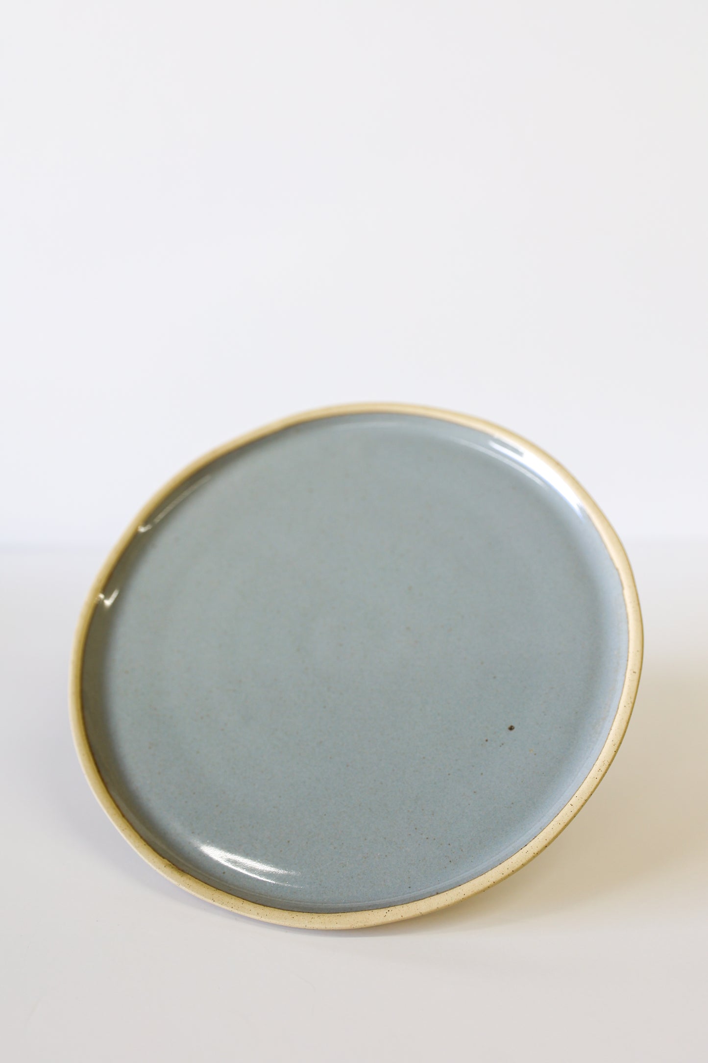 River Dinner Plate | Waterfall (Set of 4)