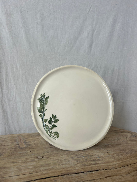 Herb Plate - Oregano