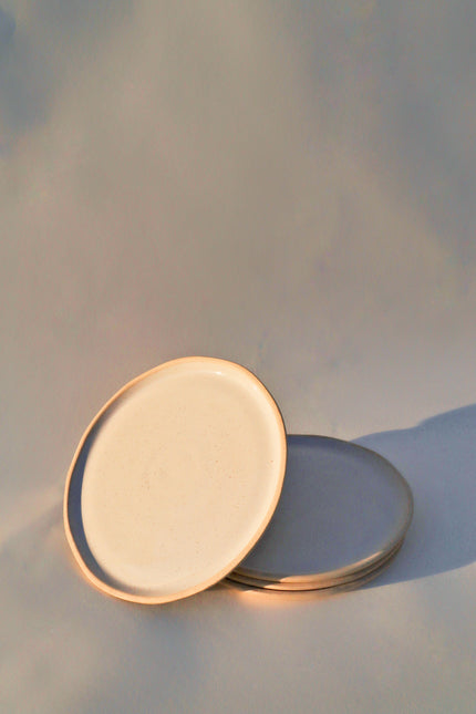 River Dinner Plate | White Speckle (Set of 4)