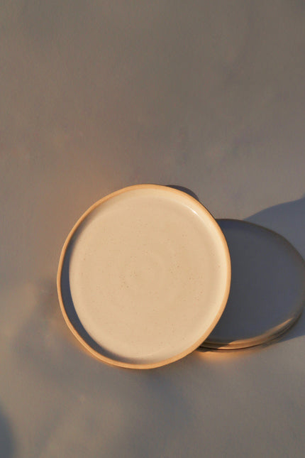 River Dinner Plate | White Speckle (Set of 4)