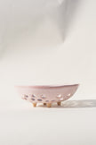 Newland Colander | Seashell